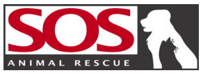 https://www.redcross.org/